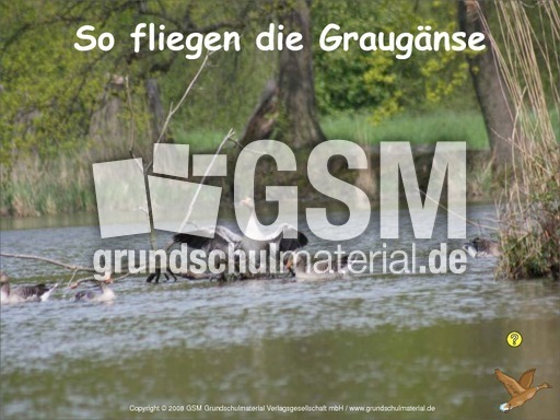 Der-Flug-Graugans-Fotopräsentation-1.pdf
